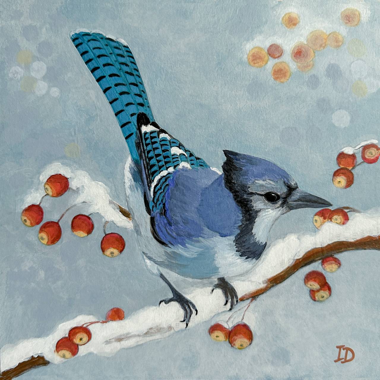 Blue Jay II