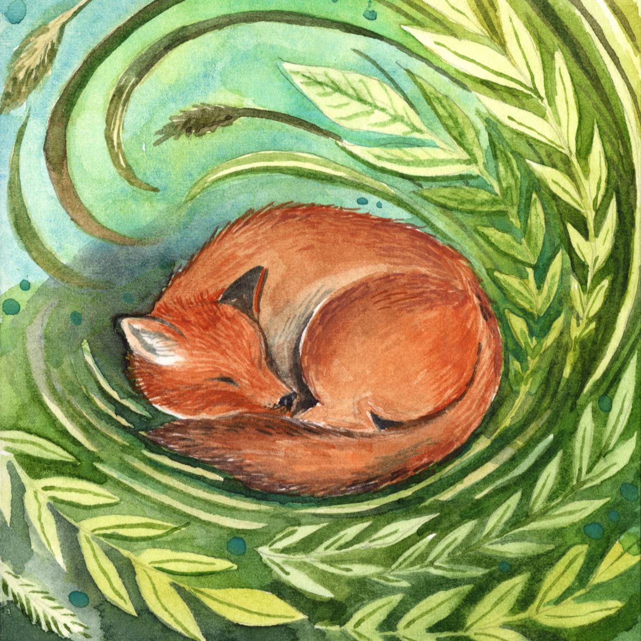 Daydreaming Fox