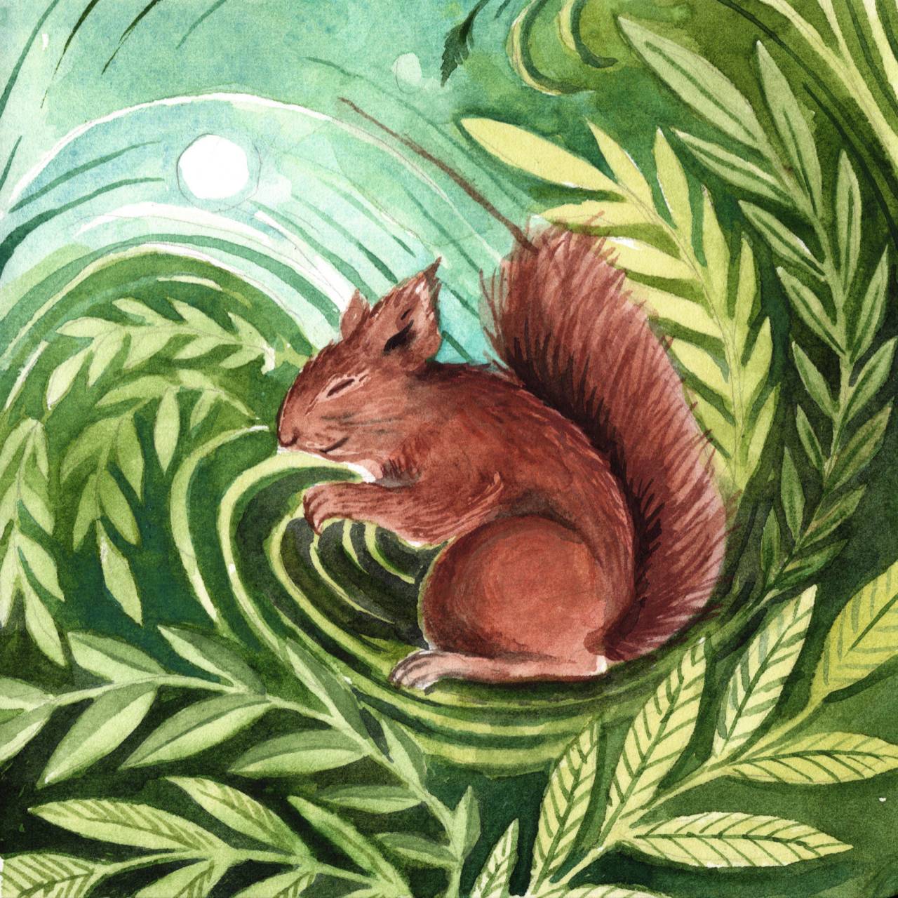 Red Squirrel: Quiet Gathering