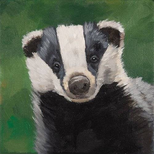 Badger