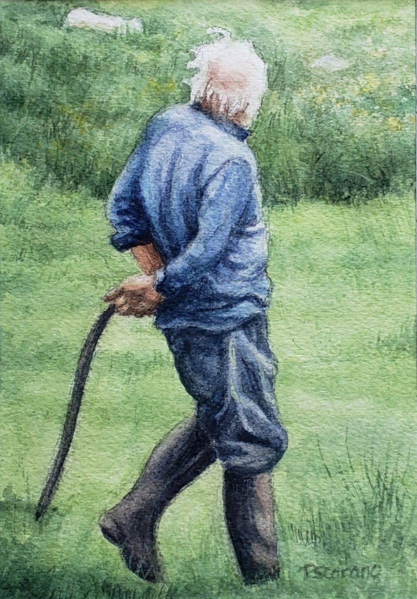 Irish Shepherd