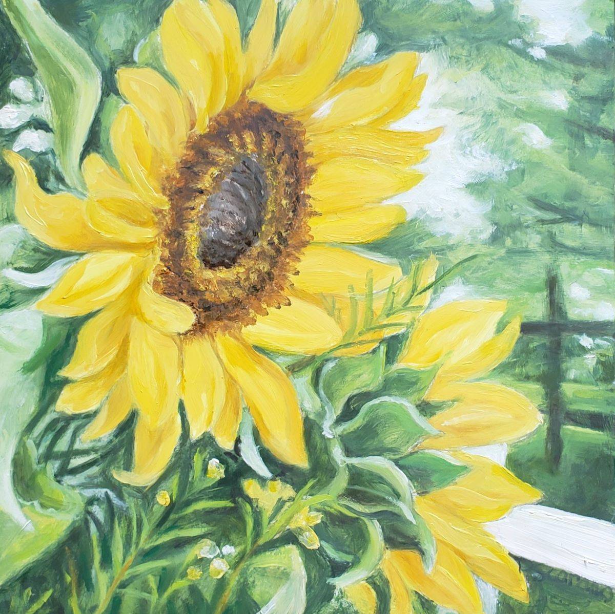 Garden Sunflowers