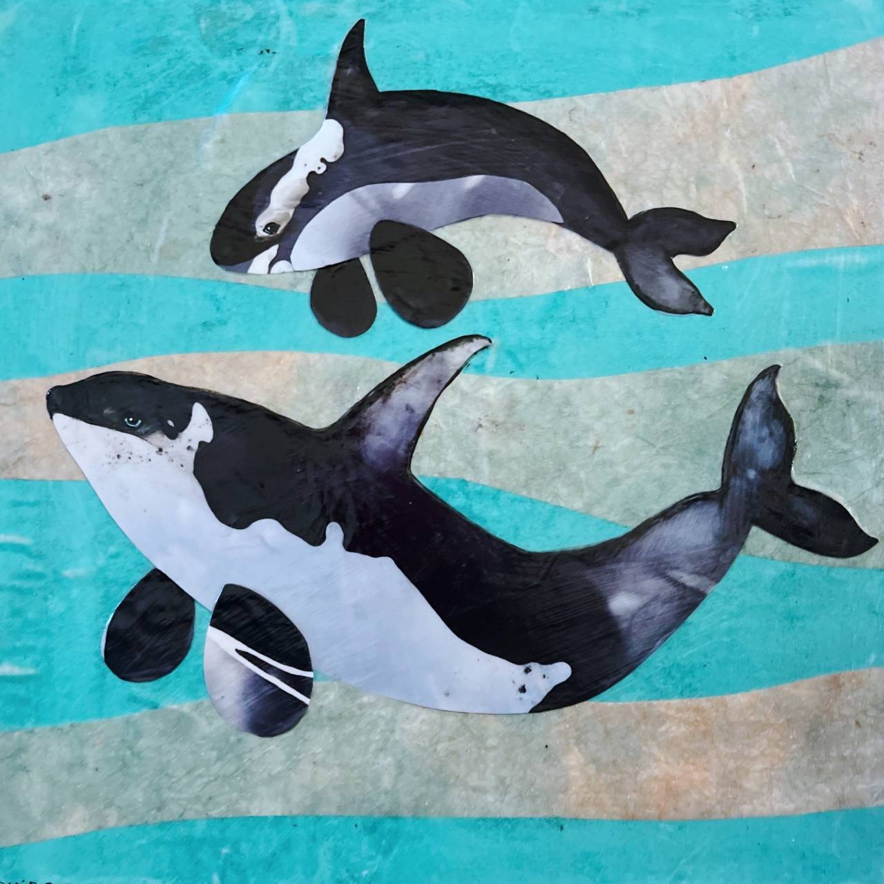 Orcas