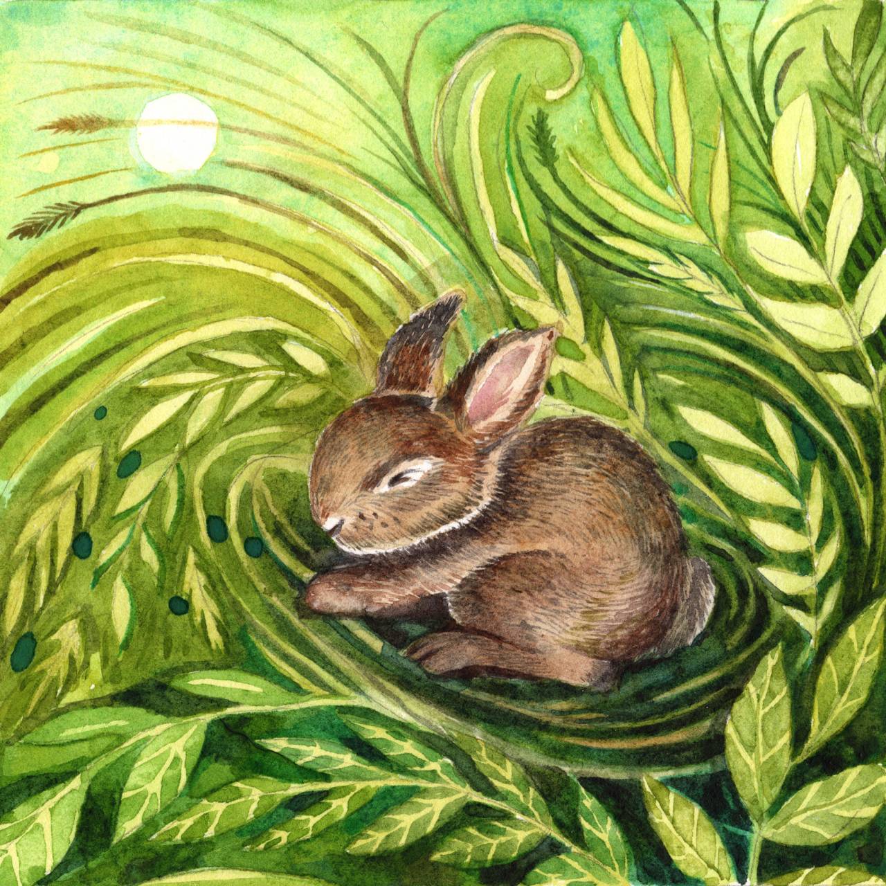 Bunny: Softly Nestled