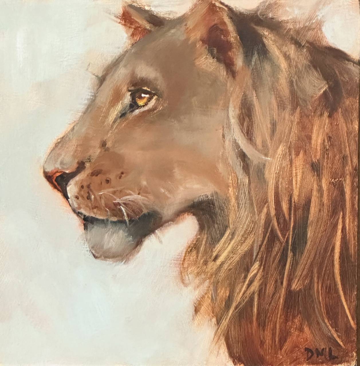 Botswana Lion