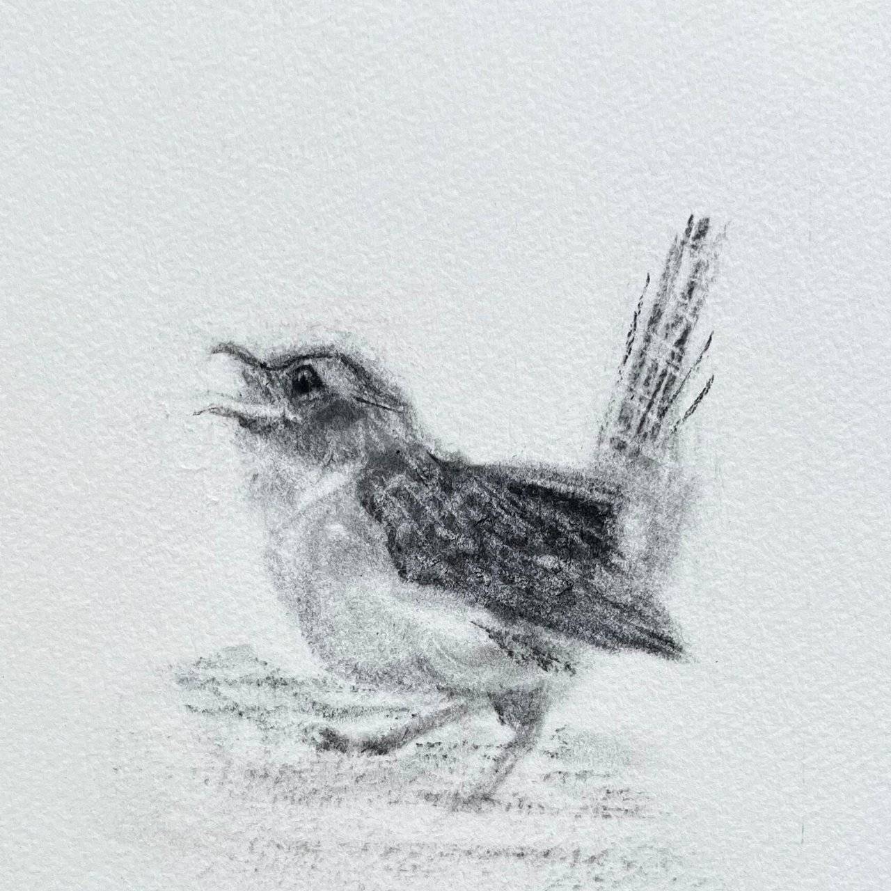 Wren