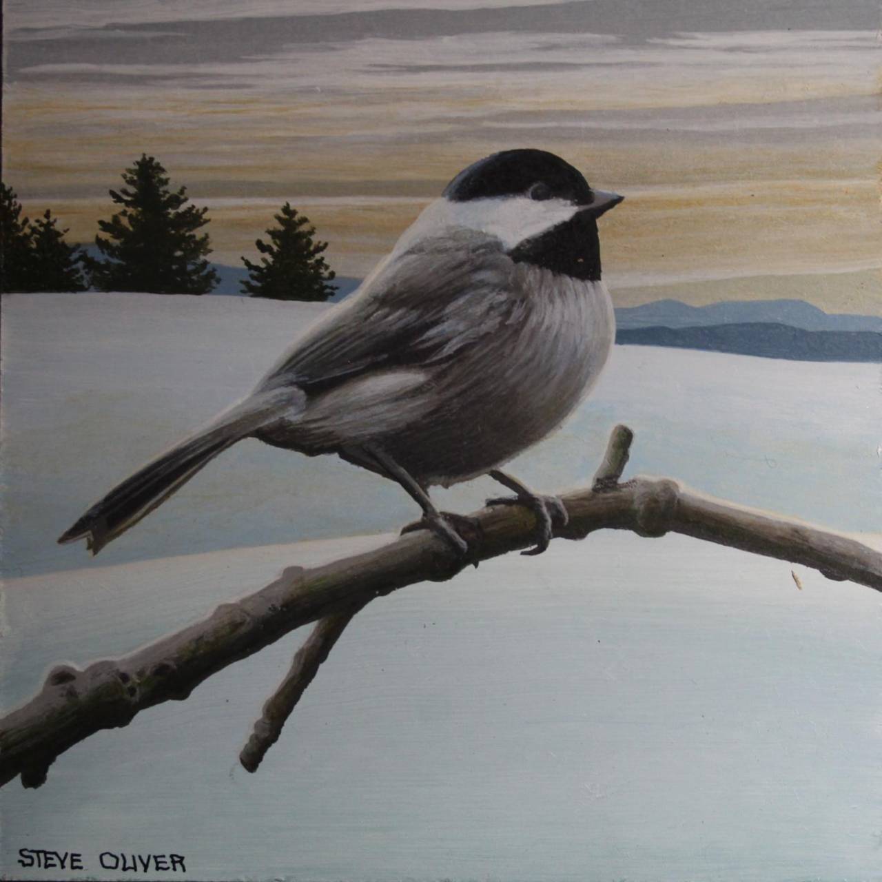 Chickadee dee dee