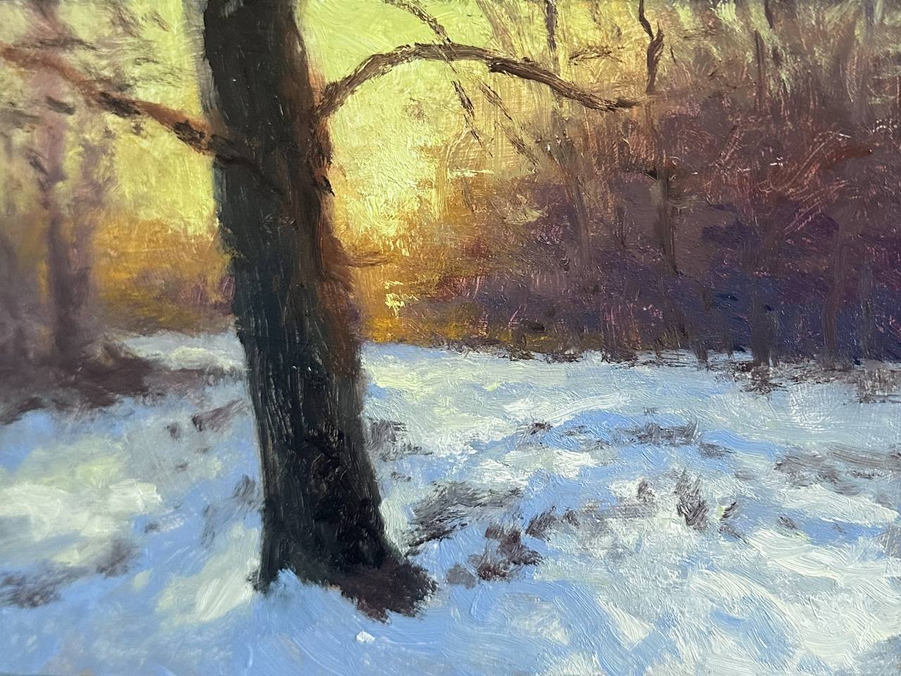 Study of Snow Shadows