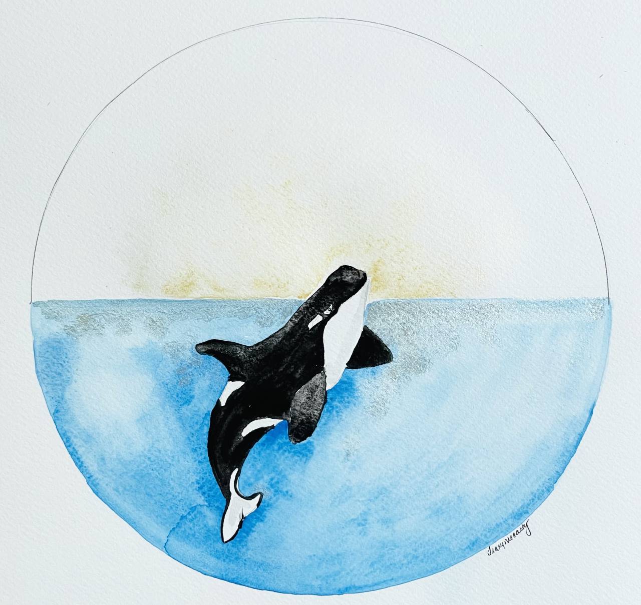 Little Orca